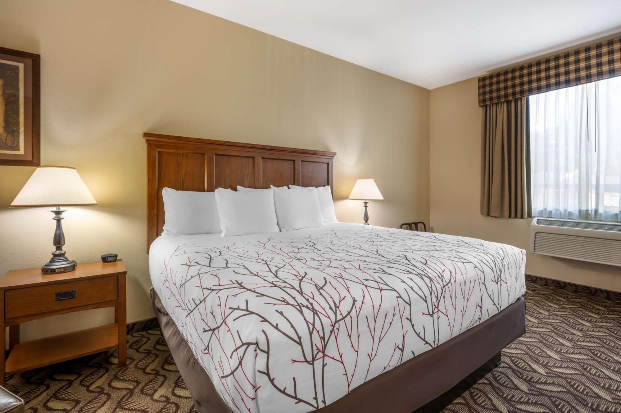 เบสต์ เวสเทิร์น ลอดจ์ แอท ริเวอร์ส เอดจ์ Hotel Orofino ภายนอก รูปภาพ