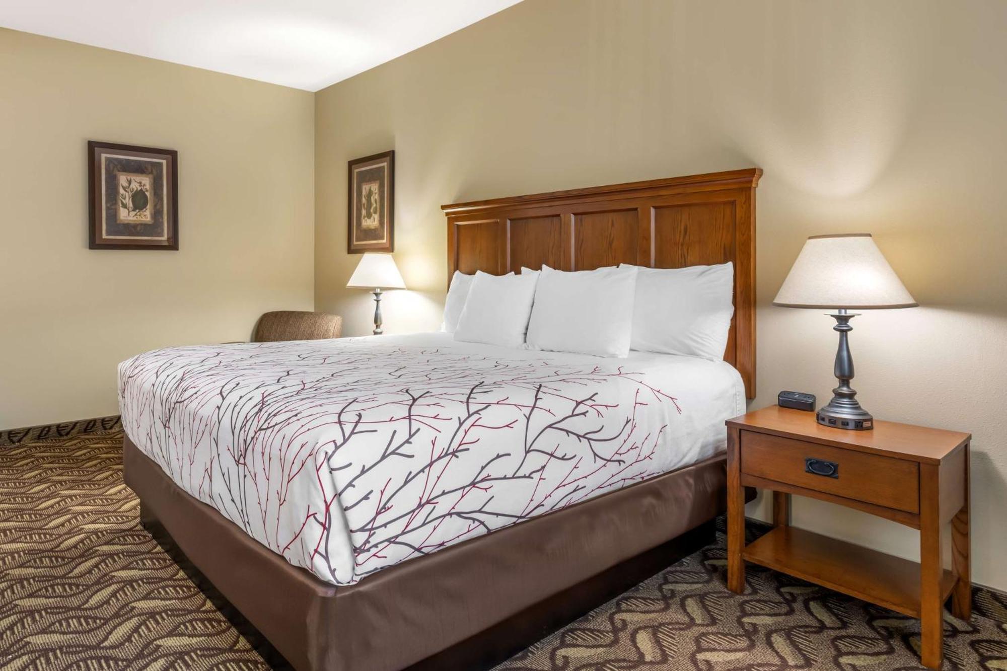 เบสต์ เวสเทิร์น ลอดจ์ แอท ริเวอร์ส เอดจ์ Hotel Orofino ภายนอก รูปภาพ